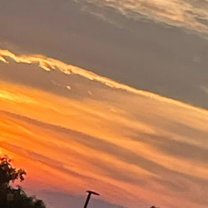 Meet your Posher, Krina